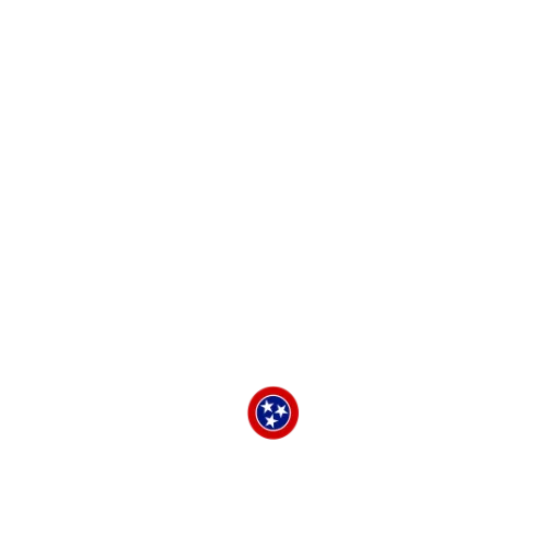 Tennessee Academic Esports League